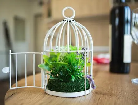 Deluxe N&a5 Jahorina