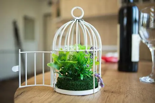 Deluxe N&a5 亚霍里纳